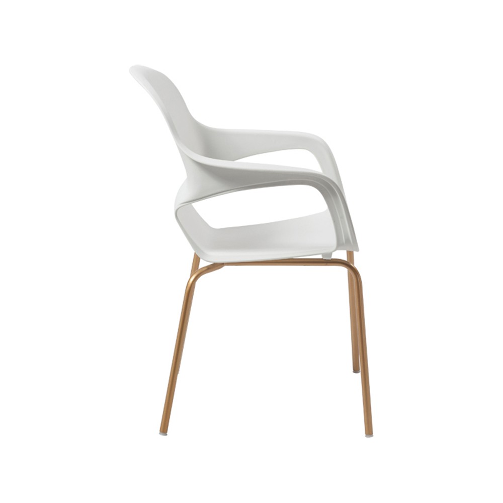 ZY-9000 All Plastic dining chair